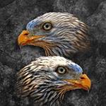Anthony Gordon